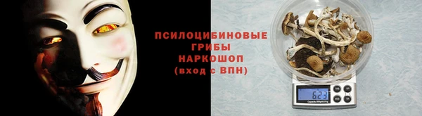 МДПВ Алексин