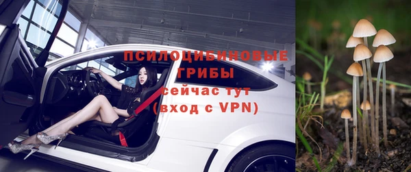 стафф Алзамай